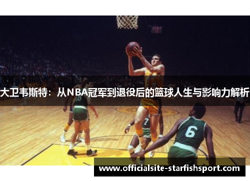 大卫韦斯特：从NBA冠军到退役后的篮球人生与影响力解析