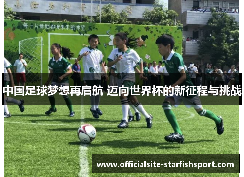中国足球梦想再启航 迈向世界杯的新征程与挑战