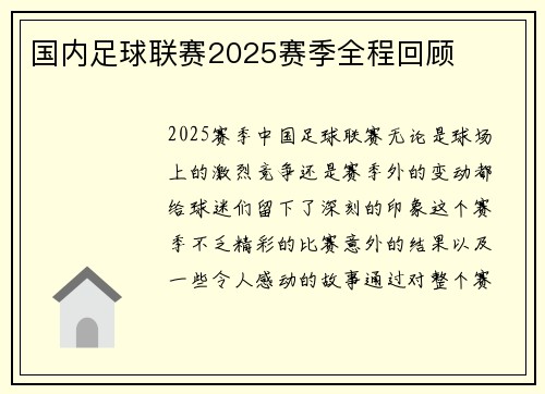 国内足球联赛2025赛季全程回顾