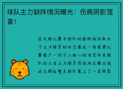球队主力缺阵情况曝光：伤病阴影笼罩！